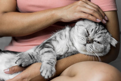 Midsection of woman with cat