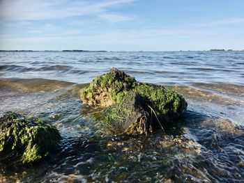 Scenic view of rocks on beach against sky