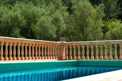 Reflection of trees on swimming pool