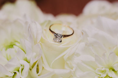 Close-up of wedding rings on white flower