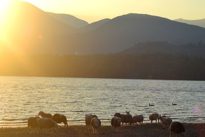 Scenic view of sunset over mountains