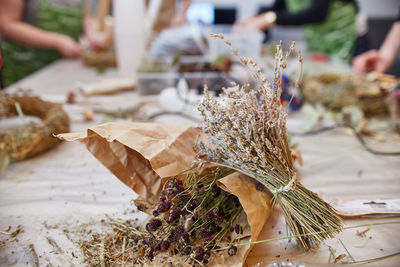 Close-up of hand holding food on plant