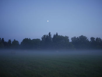 Scenic view of field against sky at night