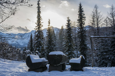 Snow covered field