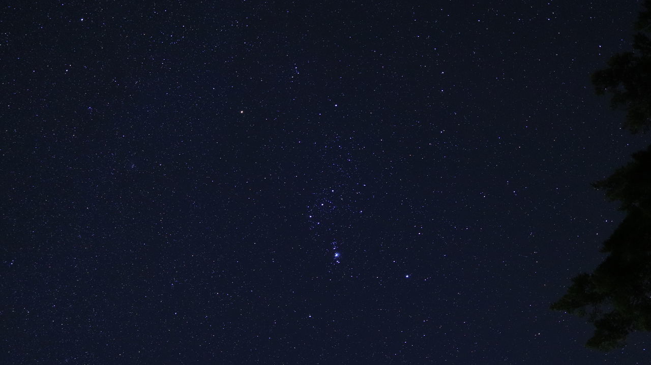 LOW ANGLE VIEW OF STAR FIELD AGAINST SKY