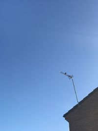 Low angle view of bird flying against clear blue sky