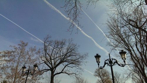 Low angle view of bare trees against sky