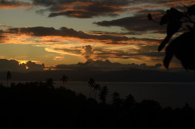 Scenic view of silhouette trees against sky during sunset