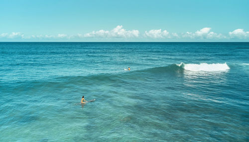 Aerial view the group of surfers chilling out on the beach. los caracas beach, la guaira - venezuela