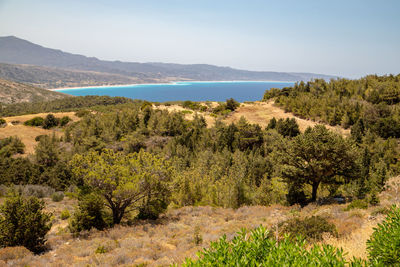 Scenic view of sea and trees against sky