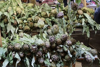 Close-up of vegetables for sale at market stall