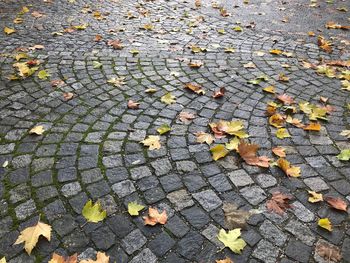 High angle view of autumn leaves on footpath