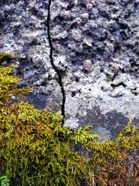 High angle view of rocks in pond