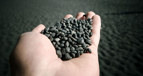 Close-up of human hand holding black pebbles at beach