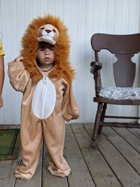 Portrait of boy in a lion costume