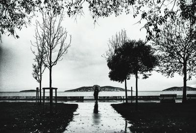 Silhouette trees by plants against sky