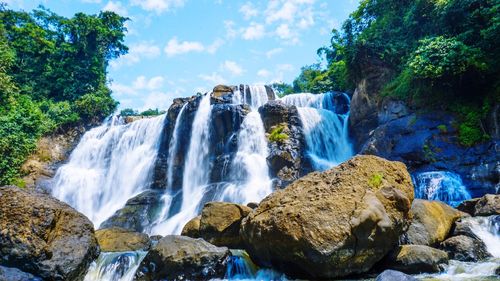 Scenic view of waterfall in forest