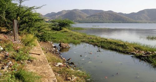 Scenic view of lake and mountains against sky