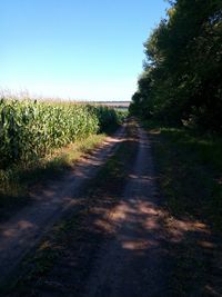 Scenic view of field against clear sky