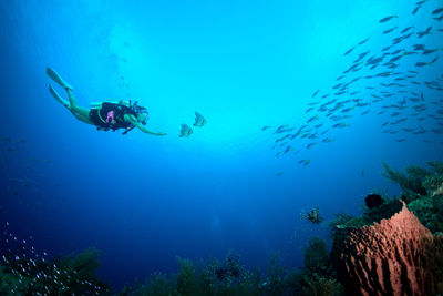 Person swimming in sea