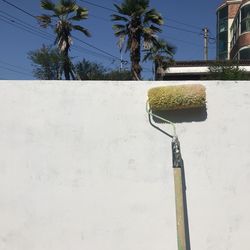 Low angle view of palm tree against sky