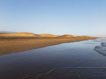 Maspalomas dunes