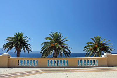 Palm trees by swimming pool against clear blue sky