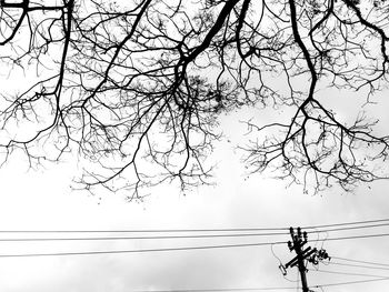 Low angle view of silhouette tree against sky