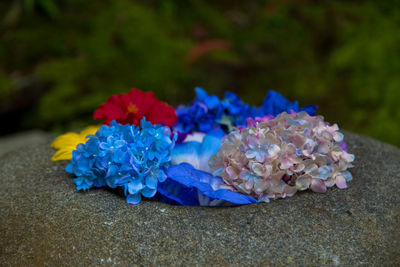 Close-up of purple hydrangea flowers on table