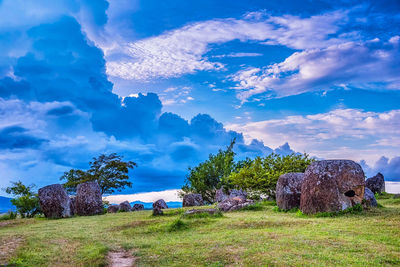 Trees on field against blue sky