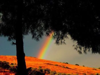 Scenic view of landscape against sky during sunset