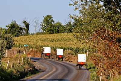 Road amidst trees against sky