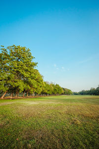 Scenic view of field against clear blue sky