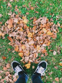 Low section of person standing on field during autumn