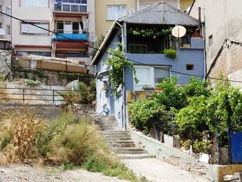 Footpath amidst trees and buildings in city