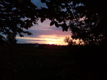 Silhouette trees on field against sky during sunset