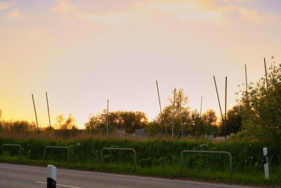 Trees on field against sky during sunset