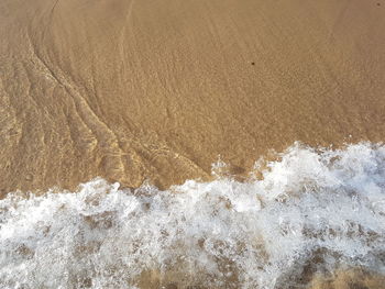 High angle view of sea shore