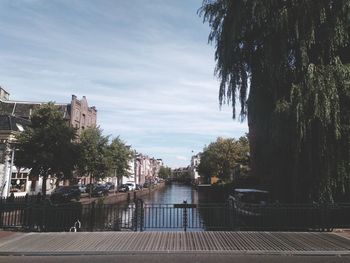 Trees and buildings in city against sky