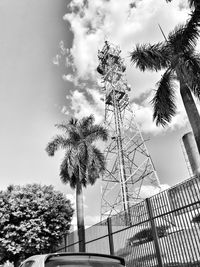 Low angle view of palm trees against sky