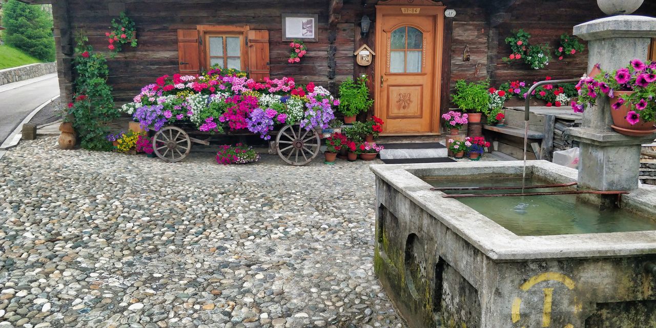 POTTED PLANT OUTSIDE BUILDING