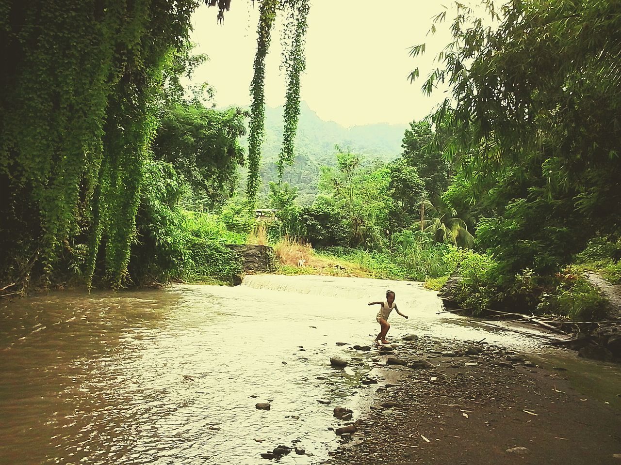 BOY STANDING ON TREE BY LANDSCAPE AGAINST SKY