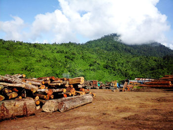 Landscape with mountain range in background