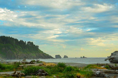 Scenic view of sea against sky