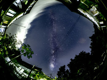 Low angle view of trees against sky at night