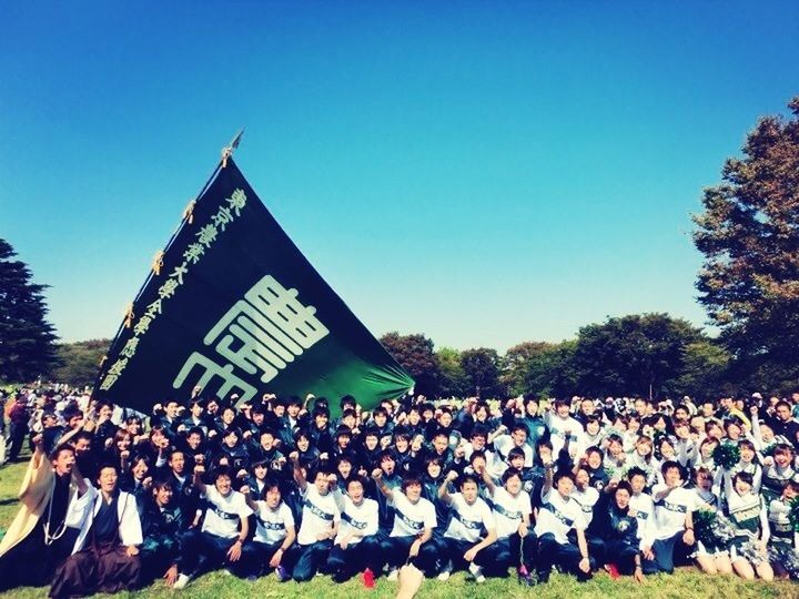 clear sky, large group of people, tree, copy space, abundance, blue, building exterior, built structure, outdoors, in a row, architecture, crowd, day, sky, growth, field, large group of objects, sunlight, low angle view, grass