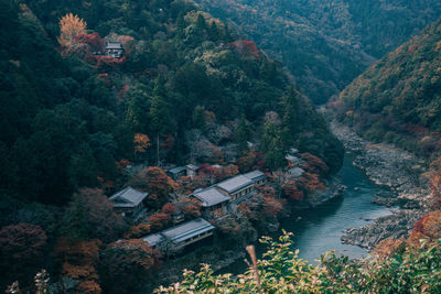 High angle view of townscape by trees in forest