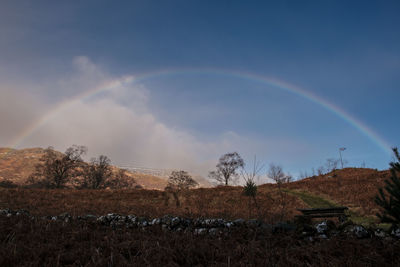 Scenic view of rainbow over field against sky