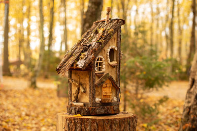 Birdhouse close-up in the forest in autumn