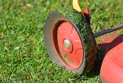 High angle view of golf on grassy field